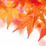 秋は楽しいこと目白押し！北東北地方のおすすめ紅葉スポット６選！