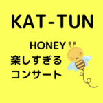 KAT-TUNのHoneyコンサート、代々木公演参戦して来ましたー（ネタバレ有り）最高です！